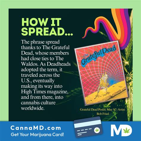 cannamd the villages|Try CannaMD .